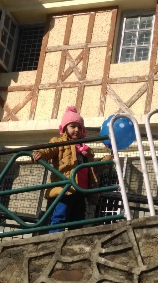 The Thistle Lodge Shimla Bagian luar foto