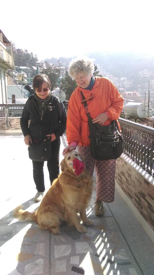 The Thistle Lodge Shimla Bagian luar foto